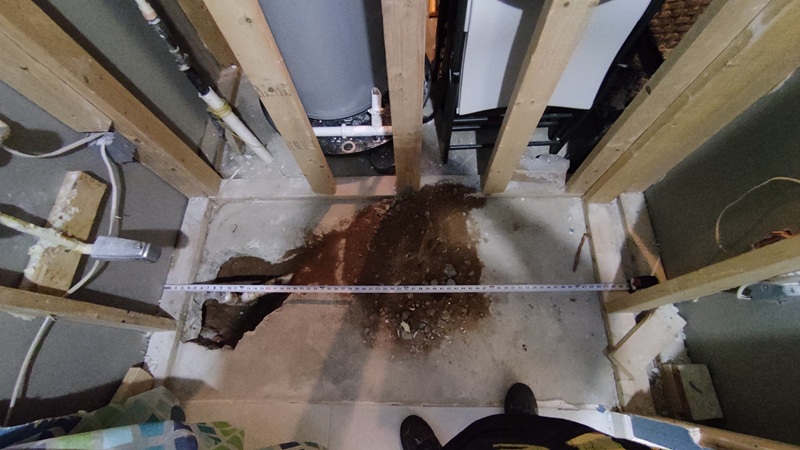 Imagen del Trabajo
